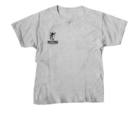 Anniversary shirt, a Sport Grey Youth Unisex Tee