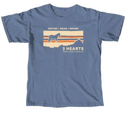 Summer FUNdraiser, a Blue Jean Comfort Colors Unisex Tee