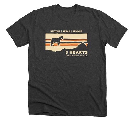 Summer FUNdraiser, a Dark Grey Heather Premium Unisex Tee