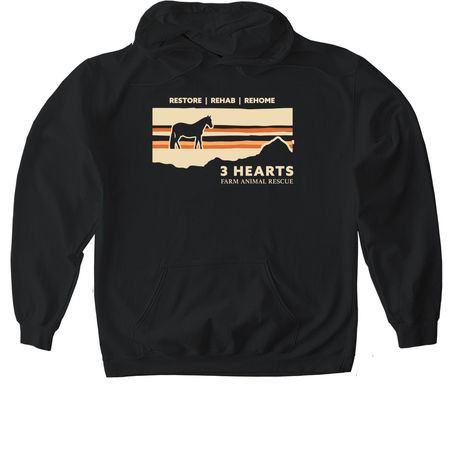 Summer FUNdraiser, a Black Gildan Softstyle Pullover Hoodie