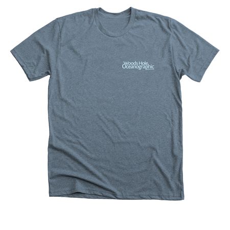Benthic Vibes, a Heather Slate Premium Unisex Tee